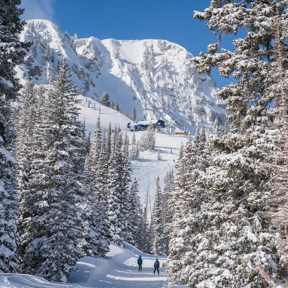 Skiers below the Summit Express chairlift at Solitude Mountain Resort, Big Cottonwood Canyon